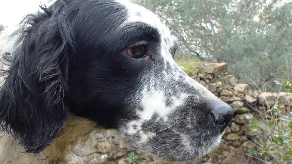 Jack Foto 9